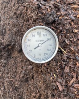 Same day and time as the previous post