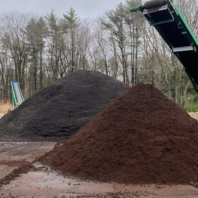 Managed to catch a break in the rain to screen some mulch ahead of our opening day, Saturday the 4th. Mulch in the foreground and compost behind. Due to the early cold fall and a muddy spring, there won’t be soil blend available for another week or so. Same goes for bulk potting soil. It’s been a scramble to get the site ready for Saturday and there’s a lot still needed but we are excited to open the season!