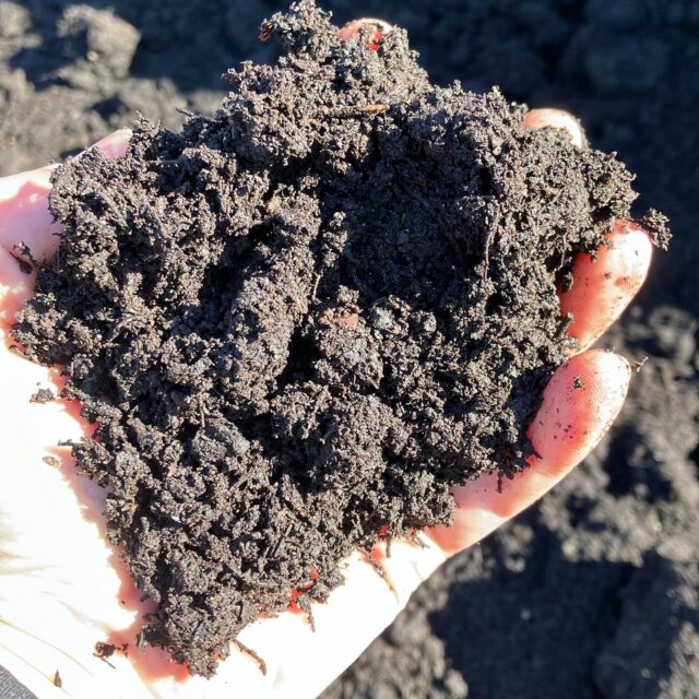 Our current compost for sale. We have had to raise our prices by $5/yard this year after holding steady for quite a while