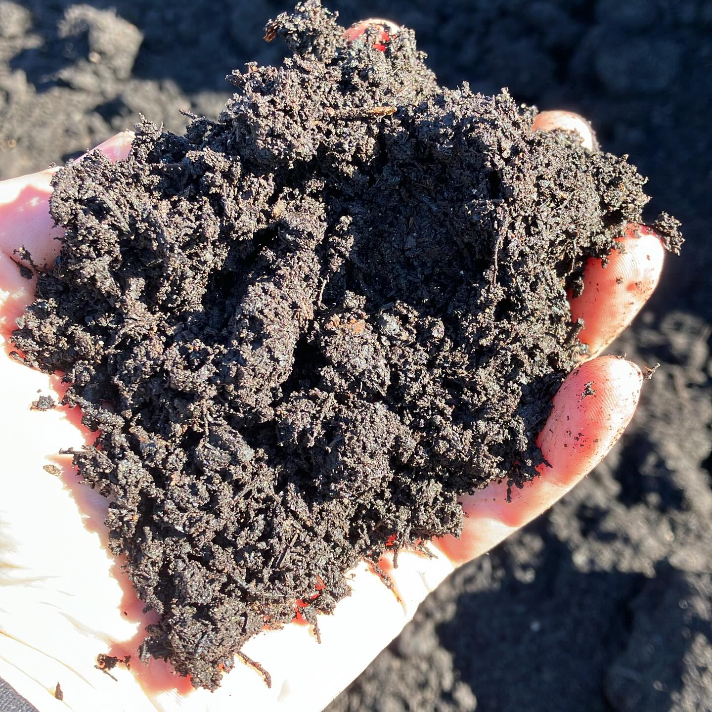 Our current compost for sale. We have had to raise our prices by $5/yard this year after holding steady for quite a while